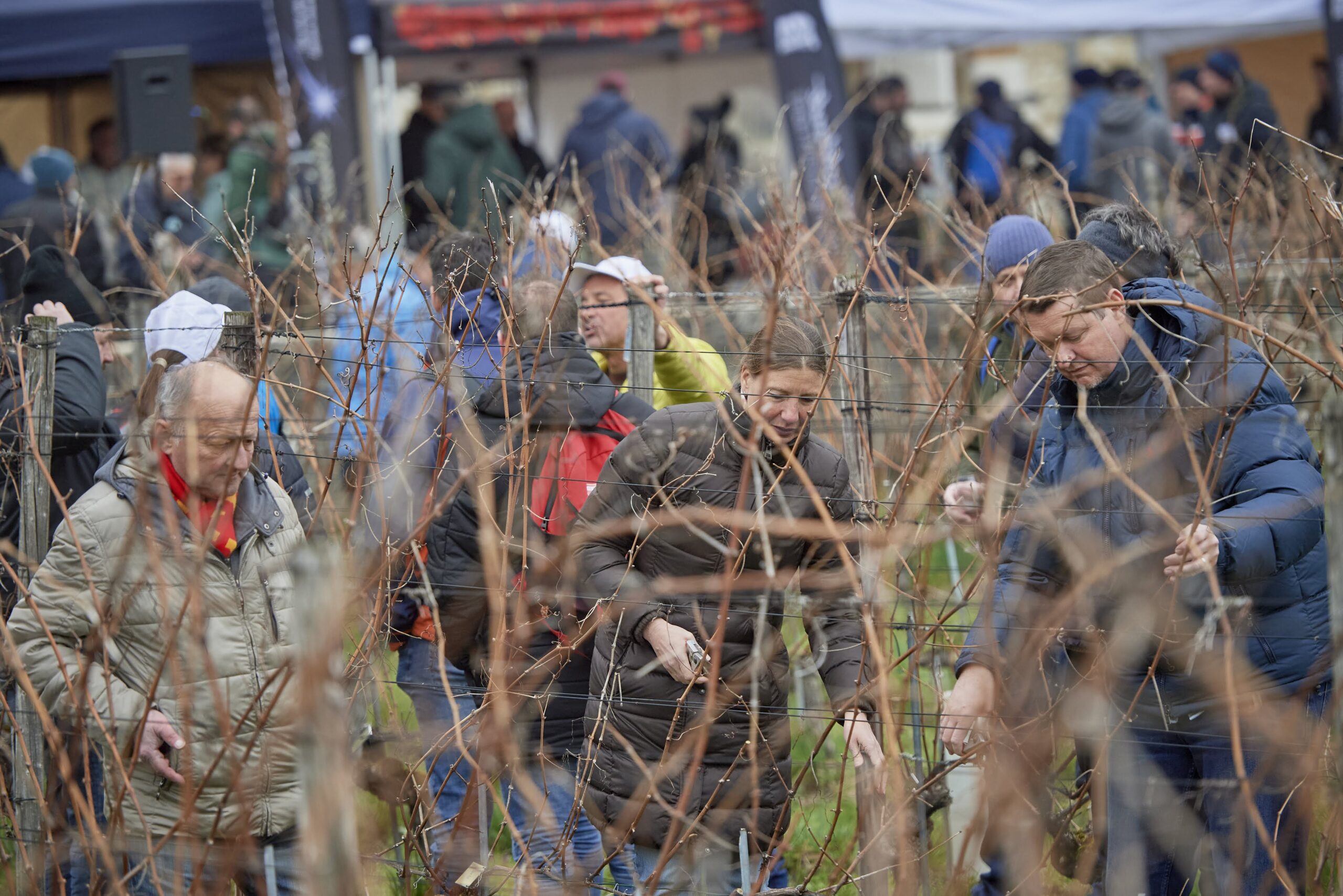christoph hunziker schüpberg