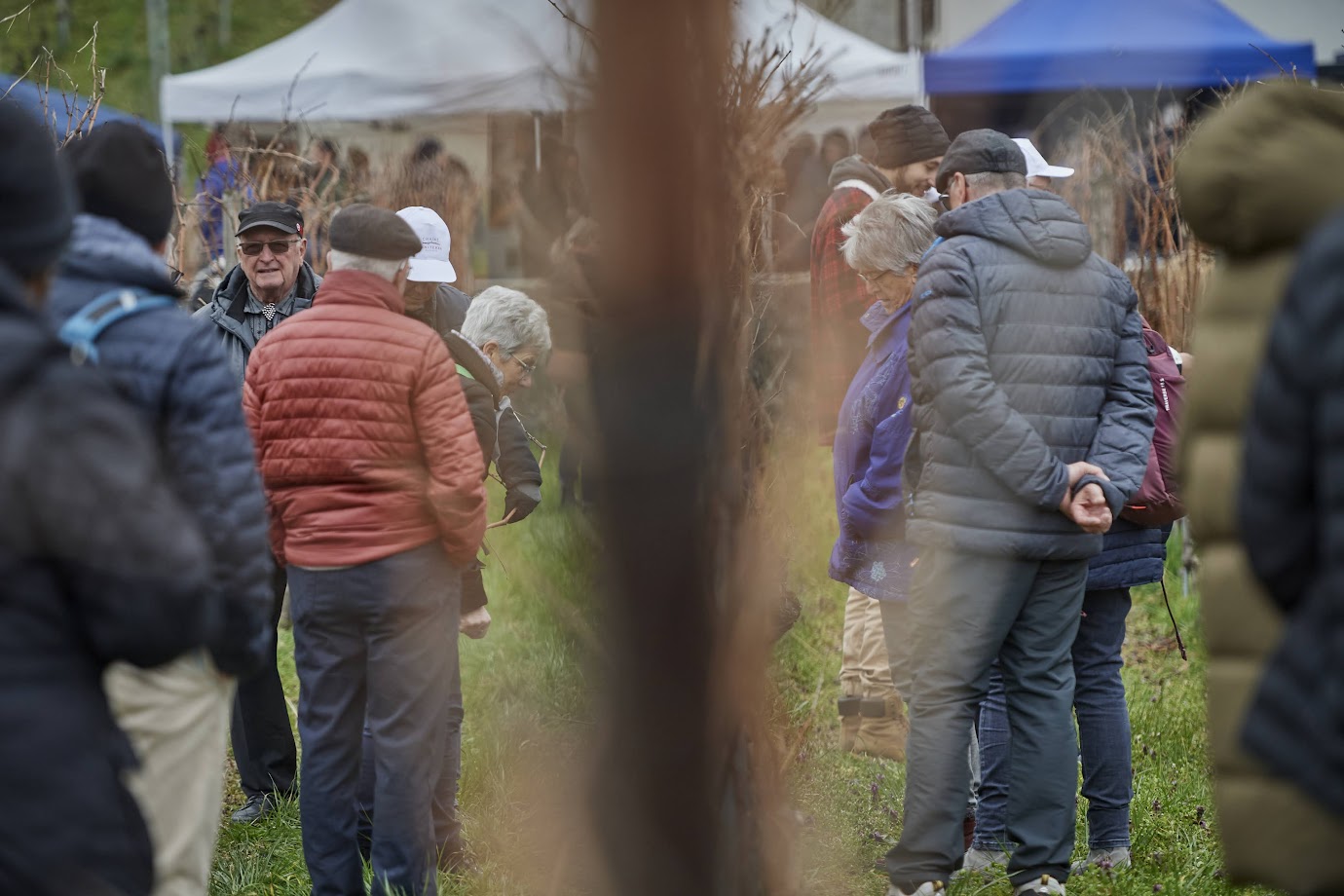 christoph hunziker schüpberg