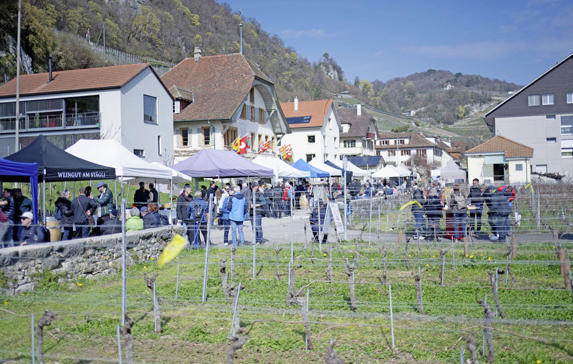 2026 001 Rebstockschneiden